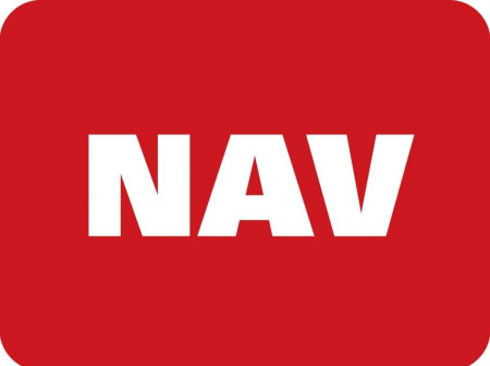 NAV ابطال چیست؟