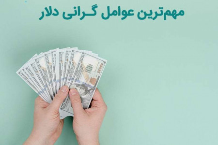 مهم ترین عوامل گرانی دلار چیست؟